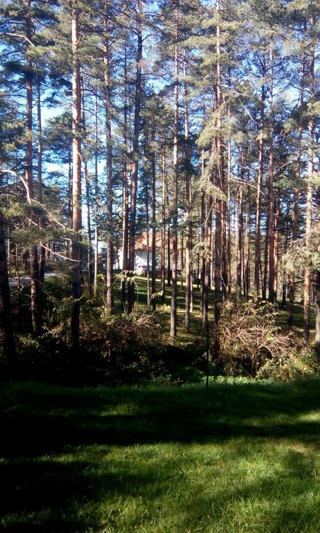 Apartment 9 Gorska Vila ซลาตีบอร์ ภายนอก รูปภาพ
